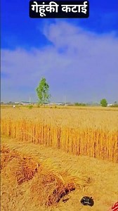 2 अप्रैल 2026