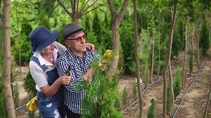 Each week, our experts select a photo from our exclusive Signature collection and make it free to download, with free illustrations and video clips available monthly. Come back weekly for more inspirational freebies to use in future creative projects! https://www.istockphoto.com/videos-free | iStock