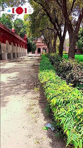 Exploring University of Agriculture Faisalabad 🌿 | The Heart of Agricultural🏫🌱Building the future