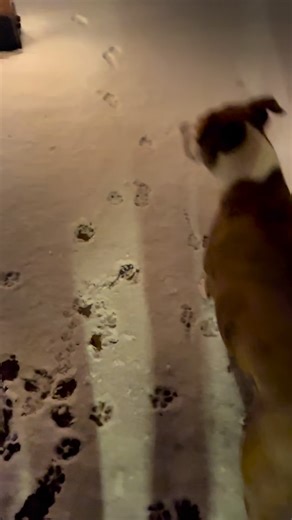 Michael Hartmann on Instagram: "Fire and Ice with the Beer Caramelizer and a Michigan Snowbank! #mikevsbeer #caramel #winter @abitabeer @beercaramelizer"