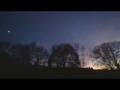 Maty Owl - Falling Leaves [Official Visualiser]