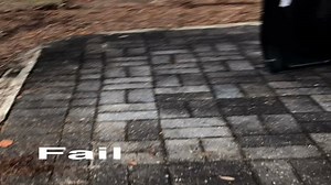 Adorable Pup Hilariously Fails Driving Lesson in Car