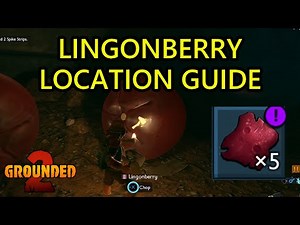 Grounded 2 Lingonberry Location Guide. How to Get Lingonberry and Lingonberry Leather Farm