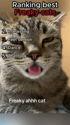 Ranking best freaky cats! #ranking #funny #freak #freaky #cat #cats #fyp #foryou #shorts #xyzbca