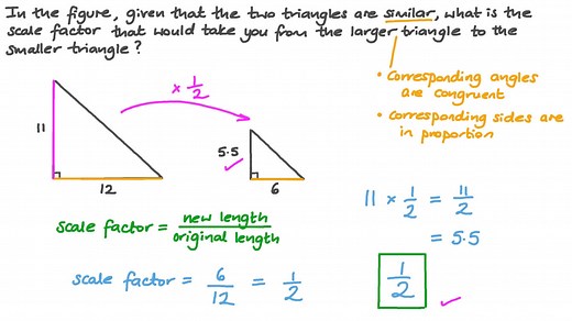 Finding the Scale Factor of Similar Triangles
