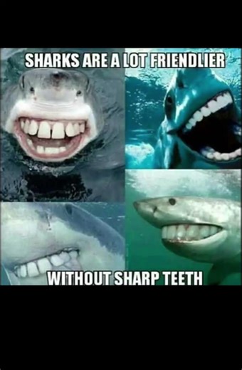 Meme of the day 😂 #memes #funny #shortsfeed #jokes #shorts #nobatidao #anime #fyp #foryou #edit