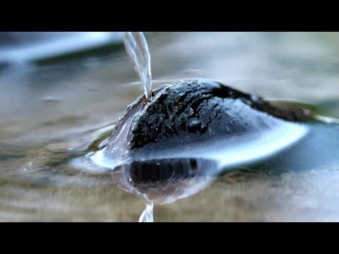 The Secret Life of Woodland Streams - Nature’s Hidden Wonders Revealed