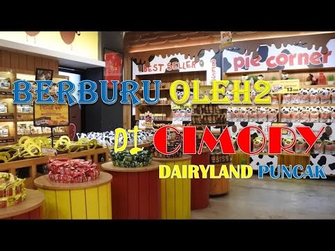 SHOPPING FOR SOUVENIRS AT CIMORY DIARYLAND SHOP || CIMORY DAIRYLAND PUNCAK BOGOR