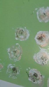 Capital News on Reels