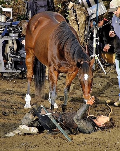 Many fans know that Viggo Mortensen fully embodied Aragorn in The Lord of the Rings. He trained relentlessly, performed many of his own stunts, and immersed himself completely in Middle-earth. But some of the most meaningful moments of his journey happened off camera—especially when it came to the horses. During filming, Mortensen developed a powerful bond with the horse he rode throughout the series. Their connection was built through long days on set, intense battle scenes, and quiet moments b