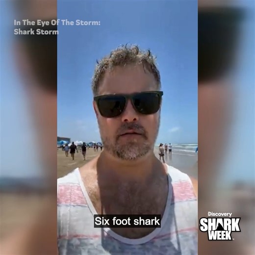241K views · 2.7K reactions | A shark outbreak shook the Gulf Coast on the 4th of July, and every moment was recorded  Don't miss In The Eye Of The Storm: Shark Storm when #SharkWeek begins Sunday on Discovery. | Shark Week | Facebook
