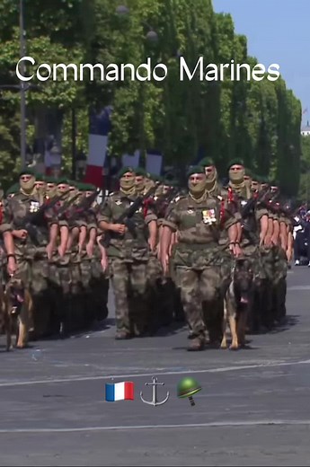 CommandoMarines sur TikTok