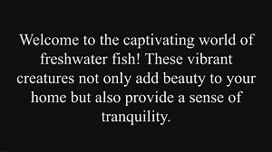 Freshwater Fish Care: Tips for a Healthy and Thriving Aquarium