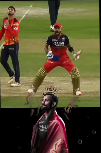 #cricket #cricketlover #ipl