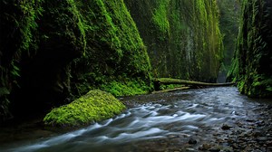 Class Sale today! Join professional photographer Matt Kloskowski to learn retouching techniques that bring your landscape photos to life. | CreativeLive