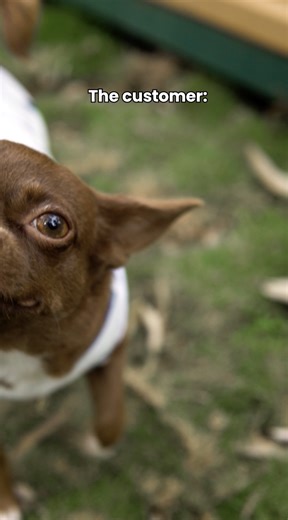 2Roots Bali | Lake view Brunch Dinner Pecatu on Instagram: "All cute souls are welcome here 🤍 Bring your paw friend, sip something warm, and make little memories at 2roots 🌿 #2RootsBali #BrunchByTheLake #PecatuCafé #RootedInWarmth"