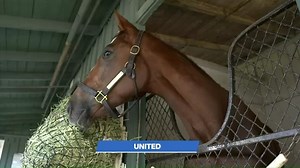 2.1K views · 98 reactions | United looks to win back-to-back editions of the G2 Eddie Read Stakes this Saturday Del Mar Racing! Race 8, 5:30PM PT at TVG. com & mobile app | FanDuel Racing | Facebook