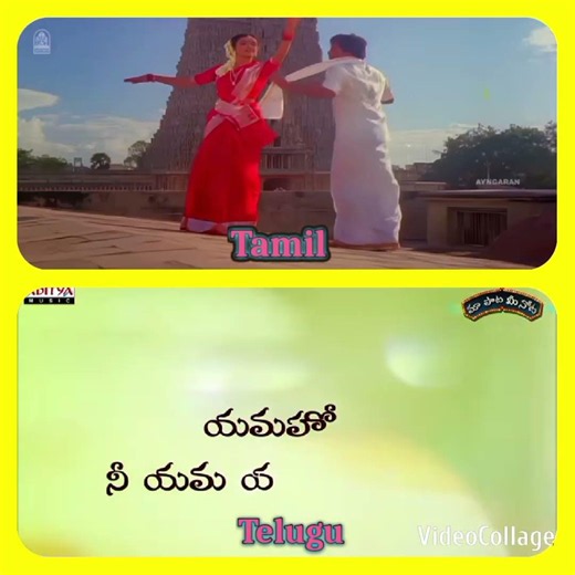 🌈 Madhura Marikolunthu Song in 2 Languages 🎦 | Multilingual Tamil Telugu | #Shorts #viral