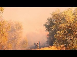 52 δασικές πυρκαγιές στην Ελλάδα - Ανησυχούν οι φωτιές σε Άμφισσα και Ηλεία