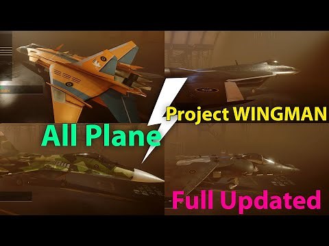 Project WINGMAN - All Plane Update 2021