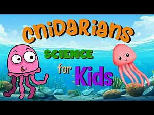 Cnidarians | Science for Kids - Videos For Kids