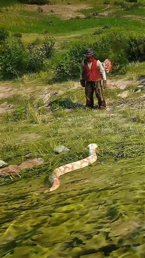 Survival Skills vid1753