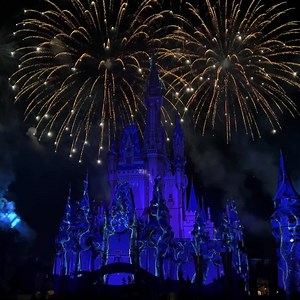 Here's a look at Disney's Enchantment fireworks show at Magic Kingdom! What are your thoughts on this show? This Frozen section was my favorite part! 🌟 #waltdisneyworld #disneyworld #wdw #epcot #magickingdom #rollercoaster #rollercoasters #amusementpark #themepark #themeparks #ジェットコースター #instatpr #themeparkreview #disneyworld50 #disneyenchantment #enchantment #fireworks #frozen | Theme Park Review