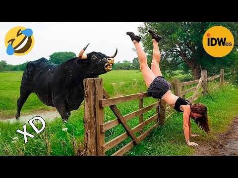 VIDEOS DE RISA 😎 SI TE RÍES PIERDES NIVEL DIOS #485 🤣 HUMOR VIRAL MEXICANO🤣
