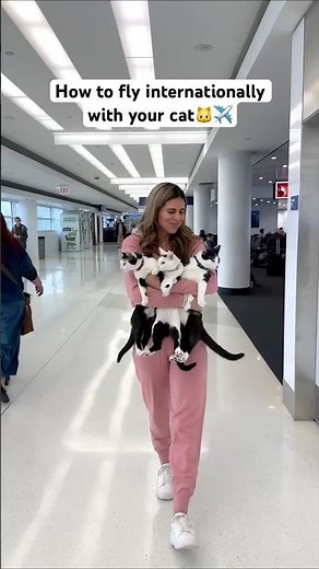 Flying International with a Cat 🐱✈️ | USA to Europe Travel Guide
