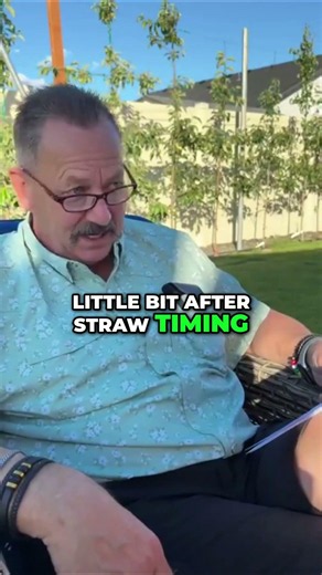 Calcium Spray Timing: Best Practices for Cherries #shorts