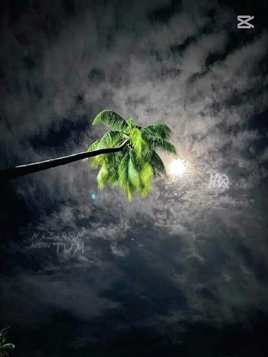 Choo lo - The Local Train#song