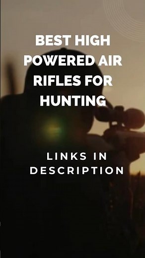7 Best High Powered Air Rifles for Hunting