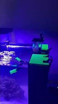 3dOcean Fluval Sea Evo Reef Tank Upgrade kit! #reeftank #fluvalseaevo #fluval #aquariums #fishtank