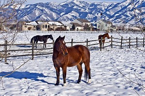 Bozeman Travel Guide - Expert Picks for your Vacation