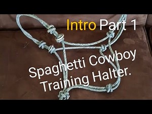 Spaghetti Cowboy side pull training halter introduction.