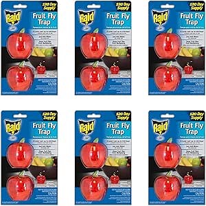 Raid Fruit Fly Trap Bundle Fruit Fly Traps for Kitchen, Fly Trap Indoor Use, Fly Traps, Fly Killer, Fly Catcher for Food Prep Areas, Gnat Trap Indoor Use (6 Pack)' (6 Pack, 12 Total Traps)