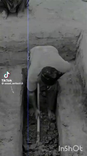 Sayed Ali (@sayed.ali2183)’s videos with original sound - Sayed Ali