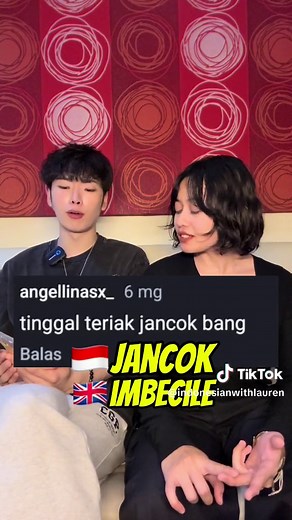 Understanding Indonesian Mean Comments: Translations and Explanations