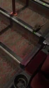 15K views · 131 reactions | Aye who theater is this | Movie Theater Memes | Facebook