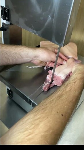 Does the Professional Benchtop Electric Bandsaw with Grinder Cut Frozen Meat and Bones?