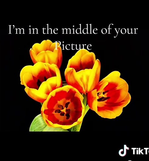 All I need #song #radiohead #allineed #fyp #her