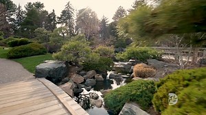20K views · 774 reactions | Let's take a virtual stroll through the Shofu-en Japanese Garden. 松風園 Shofu-en translates to ‘Garden of Pine and Wind.’ A traditional Japanese stroll garden, Shofu-en was inspired by Colorado’s Rocky Mountains and it features 130 character pines transplanted from the foothills. It was designed by Koichi Kawana and built in 1979. #museummomentofzen #museumfromhome #japanesegarden #dbggrowson | Denver Botanic Gardens | Facebook