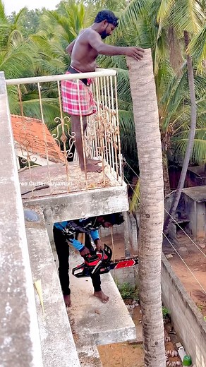 509K views · 8.1K reactions | 8610339350 tree cutter Suyambu kaniyakumari | Nagercoil | Tree Cutter Suyambu | Facebook