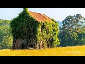 Georgia: The Hidden Beauty of the American South | 4K Travel Documentary