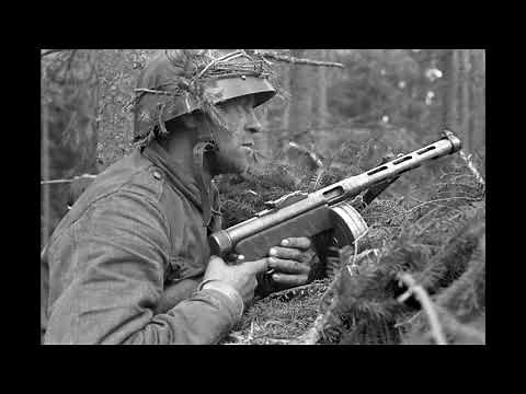 Säkkijärven Polkka - Accordion