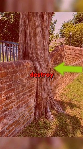 Proof That Time Destroys Everything 😰