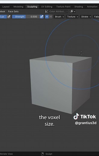 Blender Sculpting Quick Start Guide