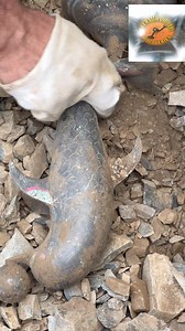 2K views · 11 reactions | treasure hunting using metal detector #treasurehunt #treasurehunting #metaldetecting #trend | Treasure Diggers Discoveries | Facebook