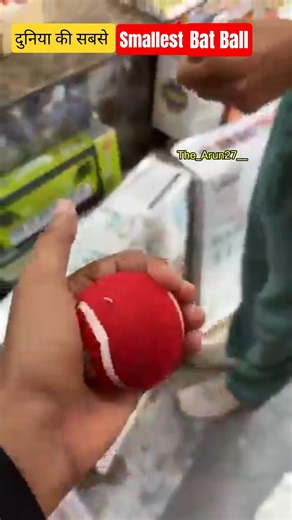 World Smallest Bat Ball😱 #cricket #cricketlover #shorts #ipl #youtubeshorts