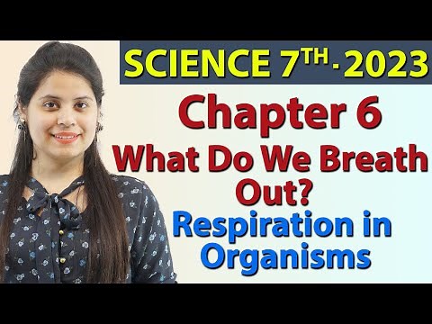 What Do We Breath Out? Chapter 6 - Respiration in Organisms - Science Class 7th NCERT